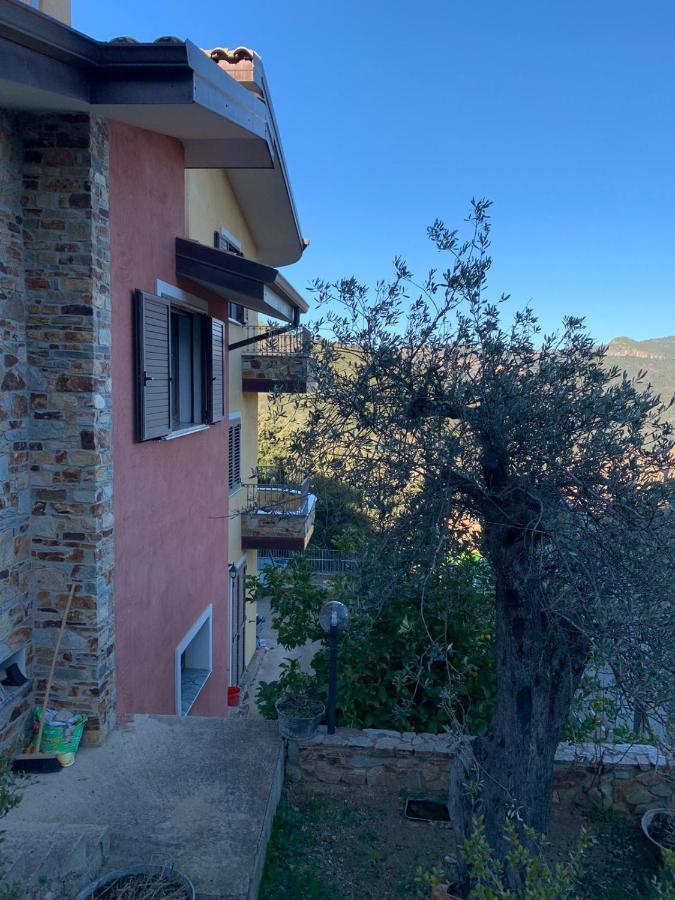 Il Vecchio Ulivo Sa Tanca Bed & Breakfast Ussàssai Eksteriør bilde